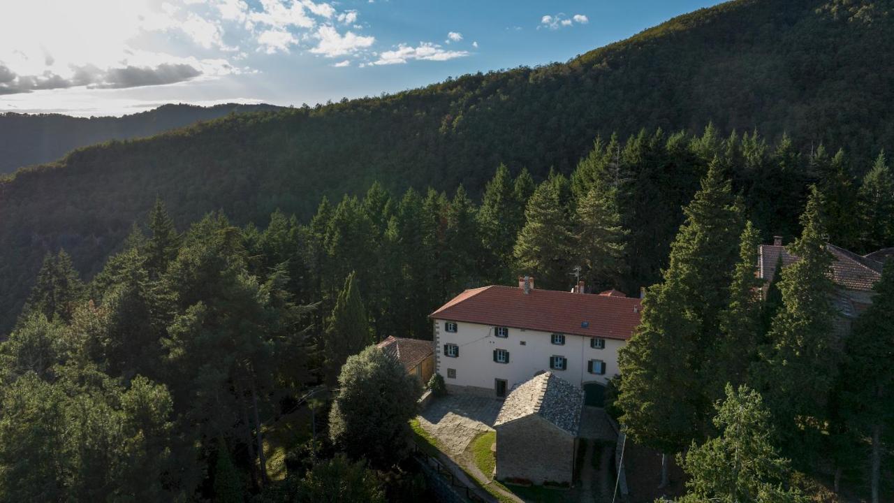 Villa La Rassinata 12, Emma Villas أريتسو المظهر الخارجي الصورة
